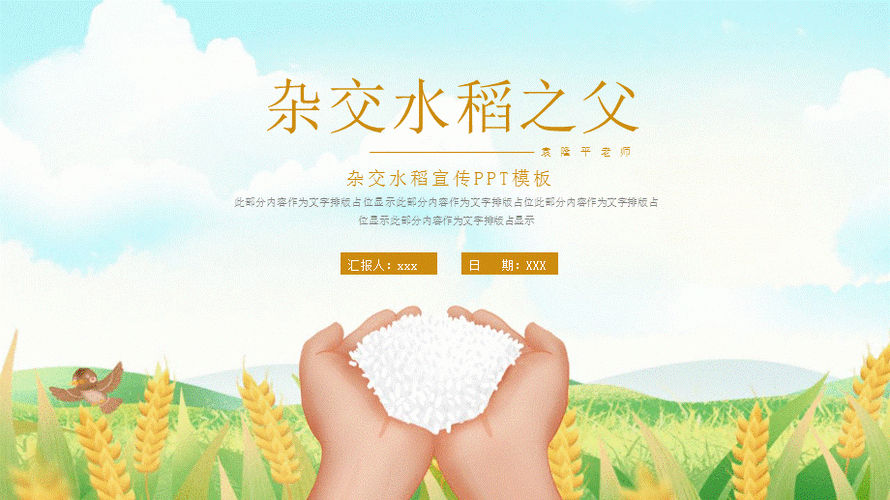 水稻企业宣传片ppt